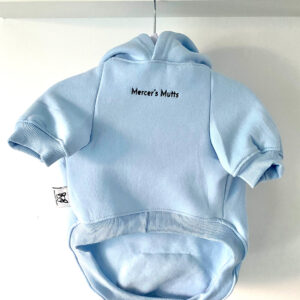 Hoodie (Baby Blue) - Front