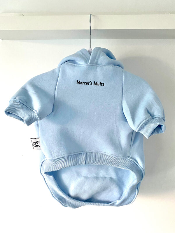 Hoodie (Baby Blue) - Front